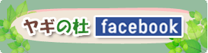 M̓mfacebook